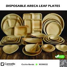 Areca Leaf Disposable Plates